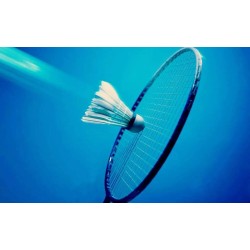 copy of ThunderStrike 9000 Badminton Racket