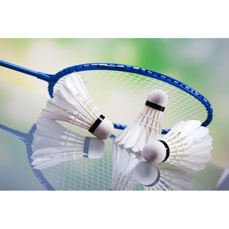 copy of ThunderStrike 9000 Badminton Racket